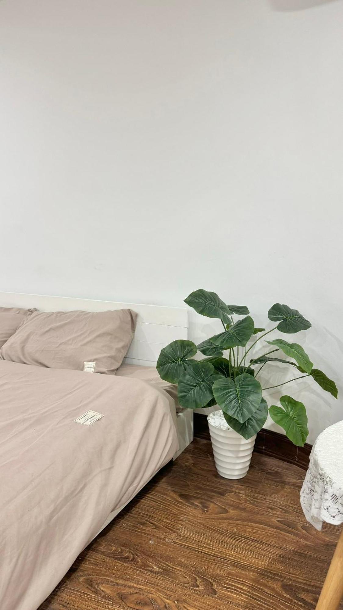 Apartmán Bom House - Zxz Hanoj Exteriér fotografie